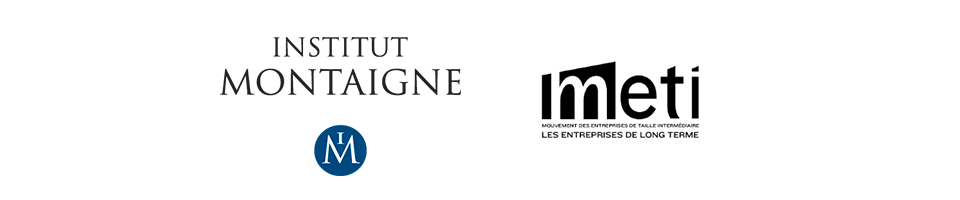 institut-montaigne-meti.png