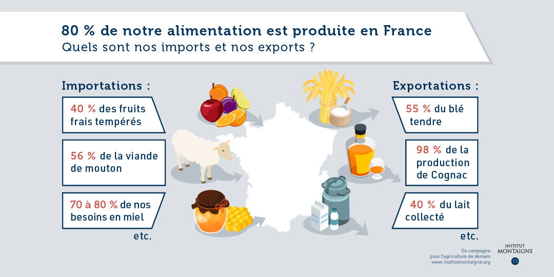 En campagne pour l’agriculture de demain - Infographie import / export