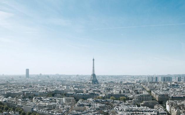 The French Brief