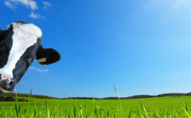Agriculture : que proposent les candidats?