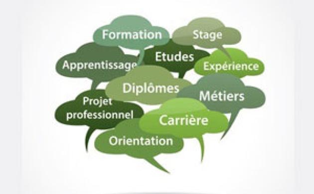 Des propositions pour favoriser l'insertion des jeunes