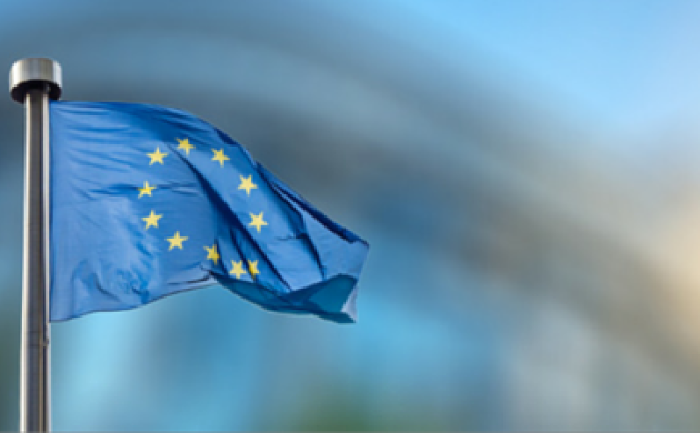 Cinq actions incontournables pour organiser le Brexit
