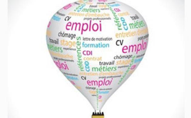 Formation professionnelle : la France, «mono-formateur emblématique»  en Europe
