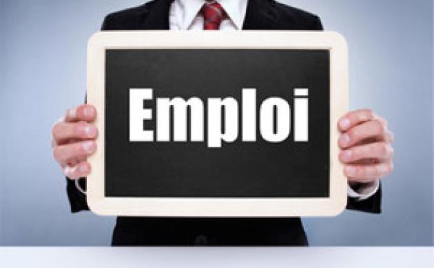 Marché du travail : face à un chômage élevé, mieux cibler les politiques de l'emploi