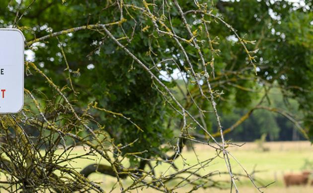 Biodiversité  : de l’urgence d’agir avec les entreprises