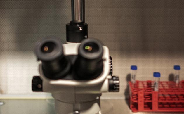 Biotechnologies : comment promouvoir l’écosystème français dans le monde ? 
