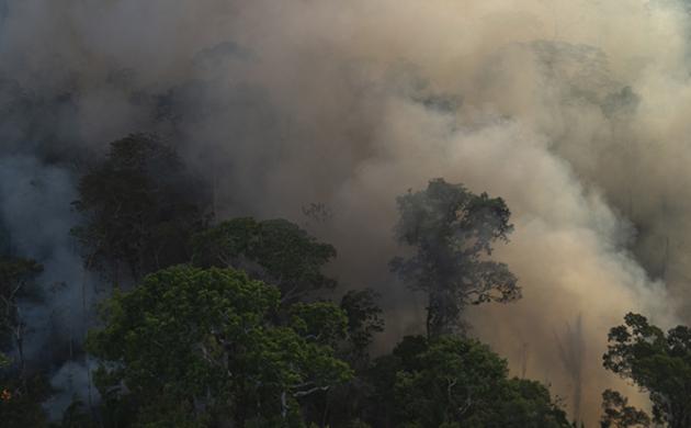 Brazil: From Climate Change Ally to Enemy?