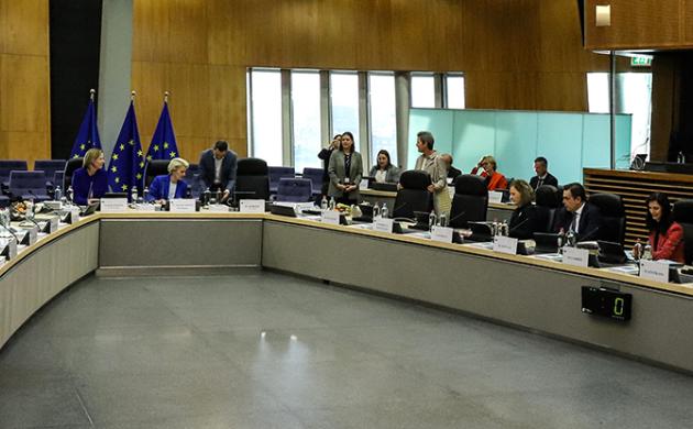 Europe and Economic Coercion: Compensation and Solidarity
