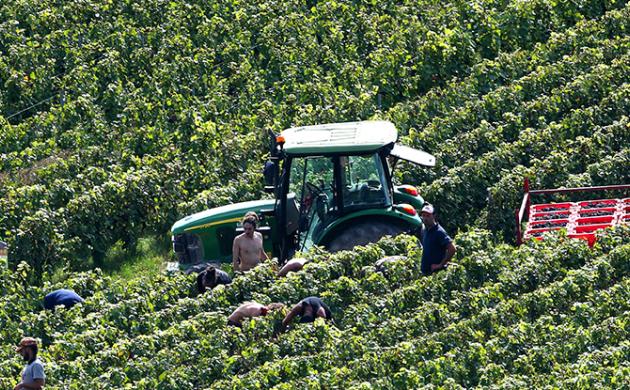 Préparer l’agriculture française aux défis alimentaires