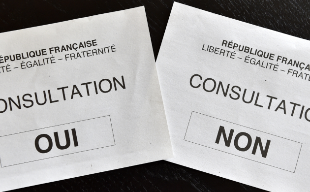 Référendum, “préférendum” : les défis d’un renouveau démocratique