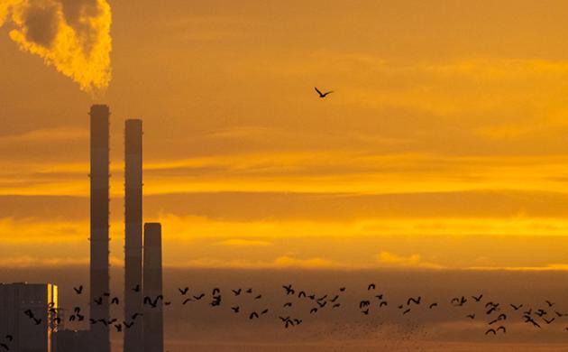 Reforming Emissions Trading Schemes in Times of Multiple Crises - Towards More Social Justice in European Carbon Pricing