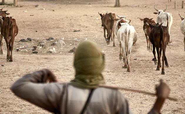 Sahel : dynamiques communautaires et 