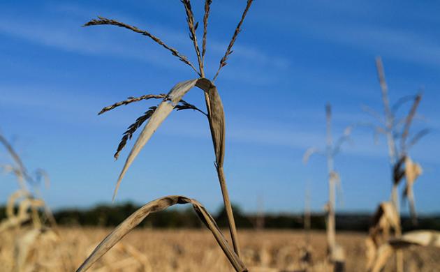 Salon International de l'Agriculture 2023 : le monde agricole face à la transition écologique