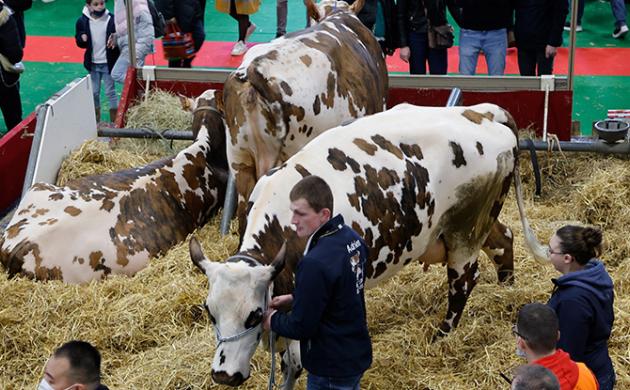 Salon International de l'Agriculture 2023 : quels enjeux pour le monde agricole ?