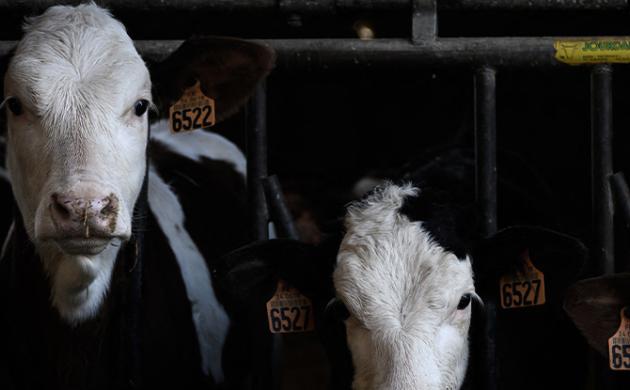 Salon International de l'Agriculture 2023 : un secteur agricole en mal d'attractivité 