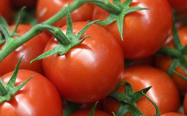 [Sondage] - Les Français et la souveraineté alimentaire