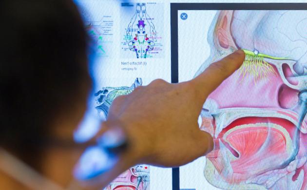 L’intelligence artificielle contre le Covid-19 : améliorer la recherche et accélérer le diagnostic
