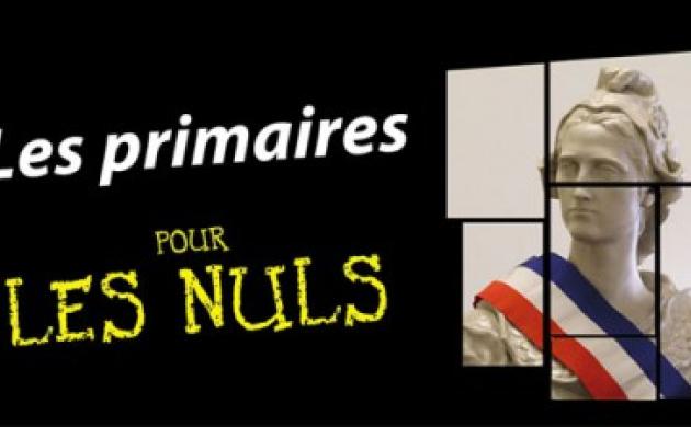 Tout ce que vous devez savoir sur les primaires et comment les rendre pleinement démocratiques
