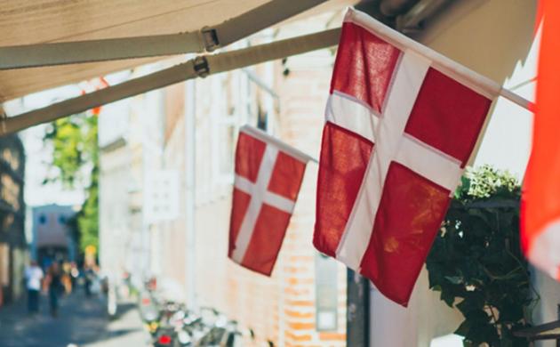 Assurance chômage, formation professionnelle et apprentissage au service du marché du travail : le cas du Danemark. 