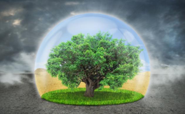 Climat : une priorité de façade ?