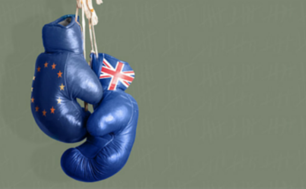 Traités commerciaux : le Royaume-Uni prépare l’après-Brexit