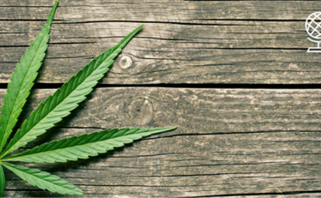 [Vu d’ailleurs] Sanction, dépénalisation ou légalisation du cannabis