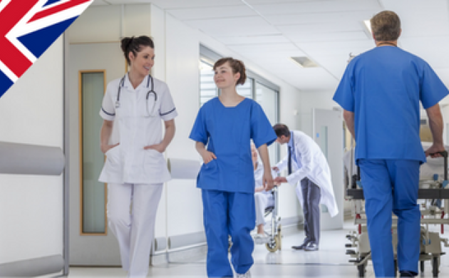 Réformer sans trahir ? Le National Health Service (NHS) au Royaume-Uni