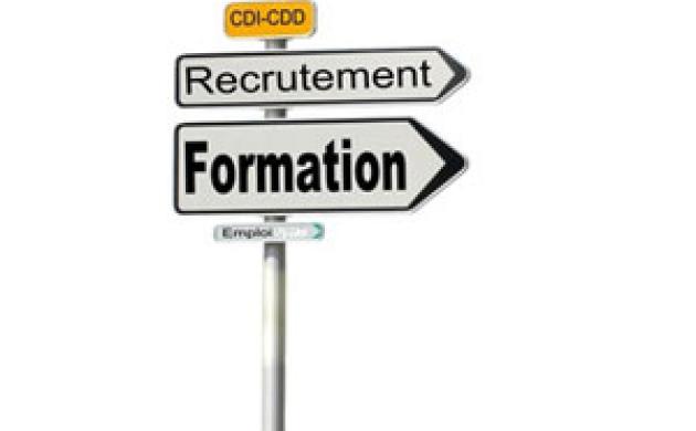 Sondage exclusif : les entreprises et l’emploi