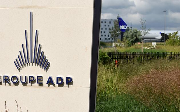 Why Can’t the State Be an Ordinary Shareholder