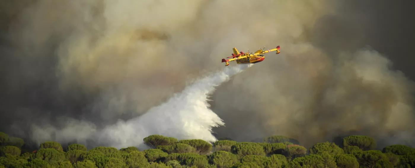 Prévention et lutte contre les feux de forêts : quels enjeux ?