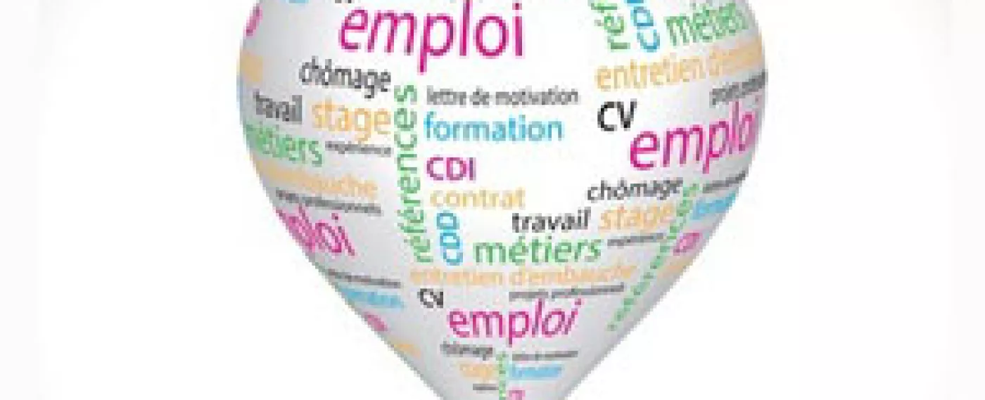 Formation professionnelle : la France, «mono-formateur emblématique»  en Europe