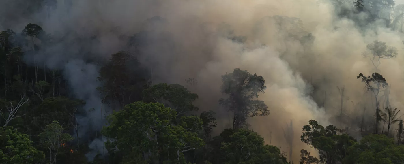 Brazil: From Climate Change Ally to Enemy?