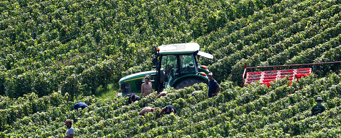 Préparer l’agriculture française aux défis alimentaires