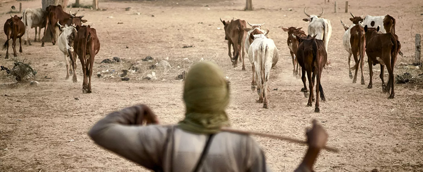 Sahel : dynamiques communautaires et 