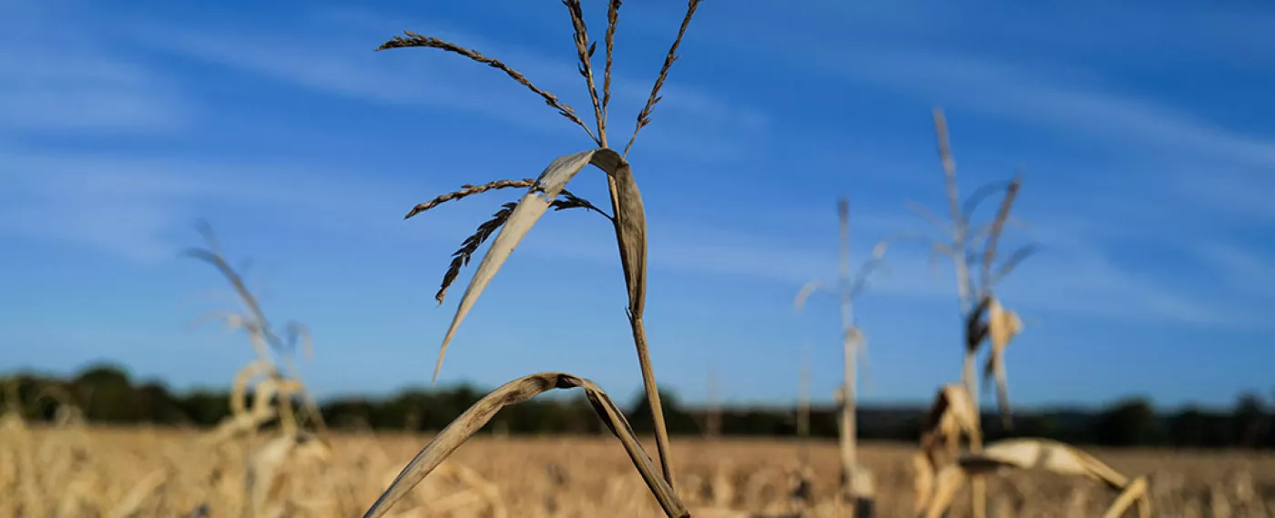 Salon International de l'Agriculture 2023 : le monde agricole face à la transition écologique