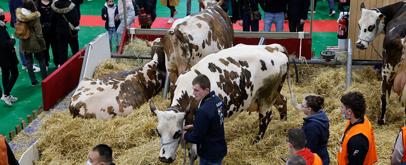 Salon International de l'Agriculture 2023 : quels enjeux pour le monde agricole ?