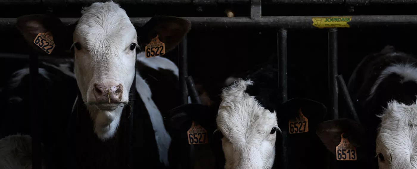 Salon International de l'Agriculture 2023 : un secteur agricole en mal d'attractivité 