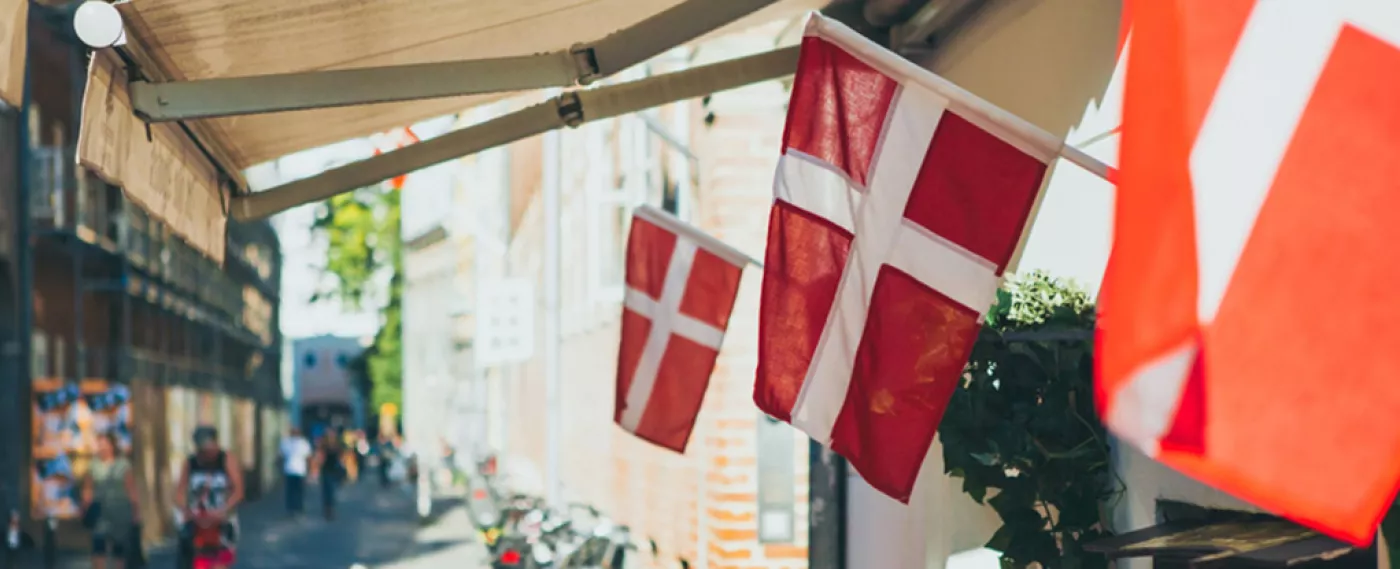 Assurance chômage, formation professionnelle et apprentissage au service du marché du travail : le cas du Danemark. 