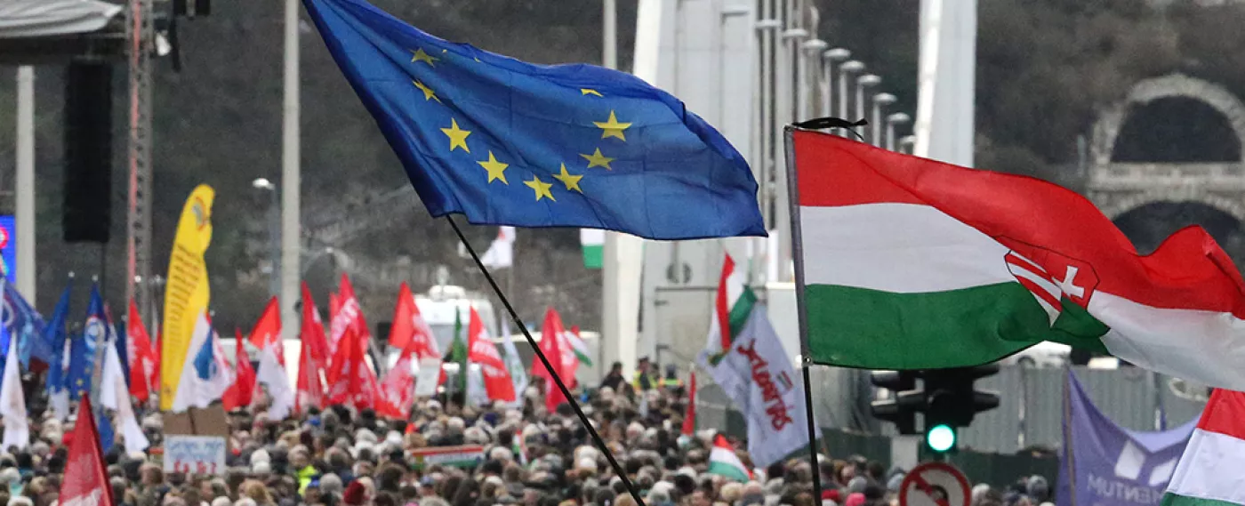 Poland and Hungary Ahead of the EU Elections