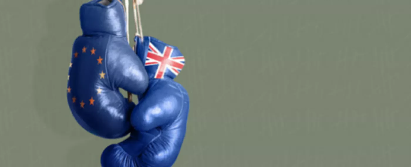 Traités commerciaux : le Royaume-Uni prépare l’après-Brexit