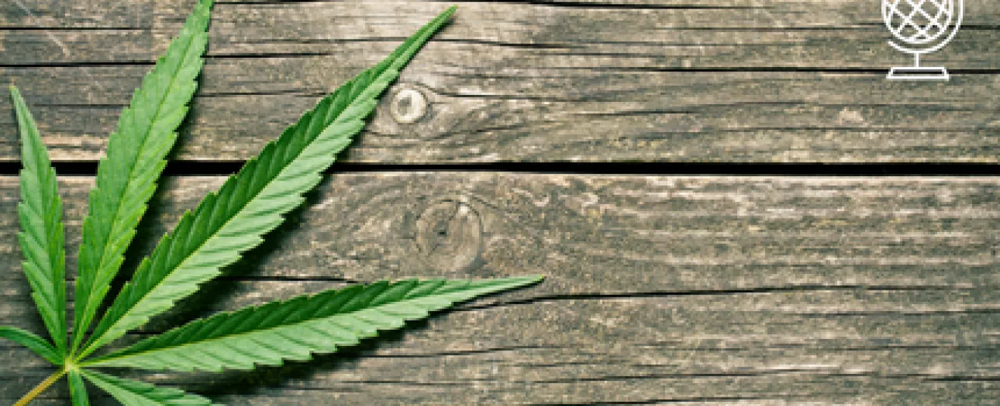 [Vu d’ailleurs] Sanction, dépénalisation ou légalisation du cannabis