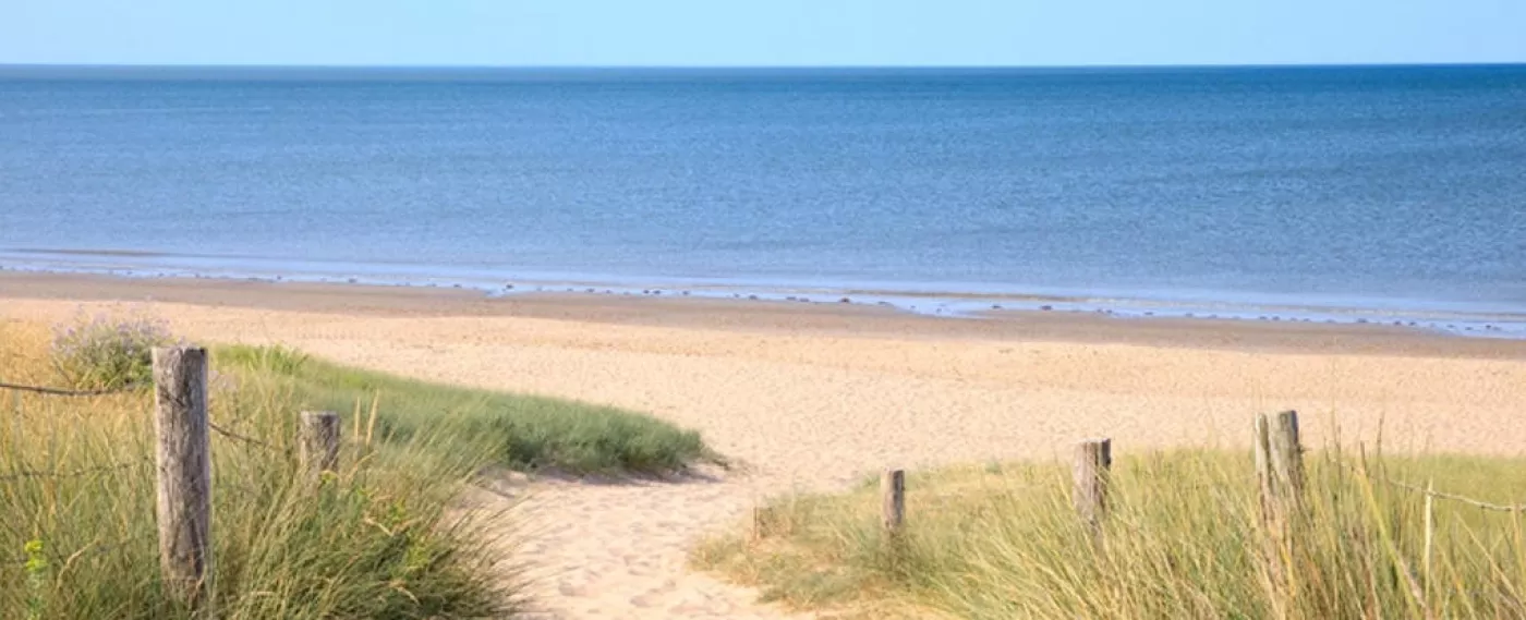 Qu'est-ce que tu fais pour les vacances ?