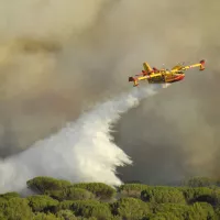 Prévention et lutte contre les feux de forêts : quels enjeux ?