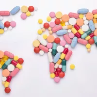 Drug Prices: National Specificities in a Global Market