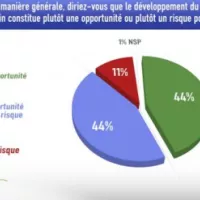 Sondage exclusif : "La France et l'Afrique, perspectives d'avenir"