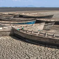 COP27 en Égypte : quels enjeux pour le continent africain ?