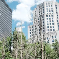 The Cities That Never Sleep: Reinventing Diplomacy
