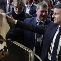 [À contrevoix] - Agriculture : comment réformer la PAC ?