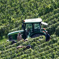 Préparer l’agriculture française aux défis alimentaires