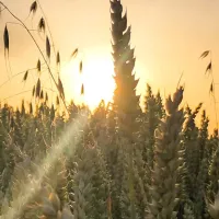 Quel visage pour l'agriculture de demain ?